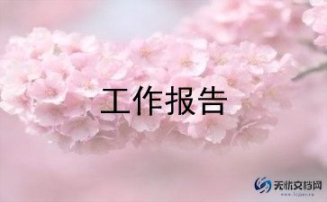 暑期专业实践报告8篇