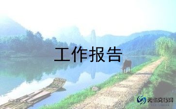 厂工作总结报告范文6篇