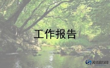 做项目报告的工作总结6篇