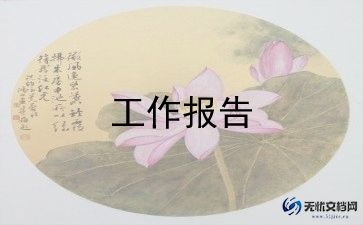 水利述职报告范文8篇