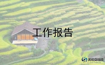 师资队伍调查报告5篇