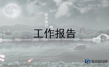 报告组年终工作总结6篇