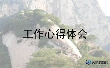 2023物理老师实验工作总结5篇