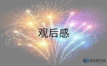 看最美孝心少年观后感6篇