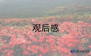 大阅兵观后感800字作文5篇