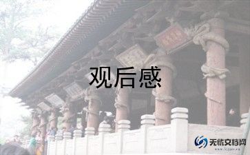 看最美孝心少年观后感优秀6篇