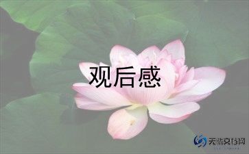 中国新闻2023观后感5篇
