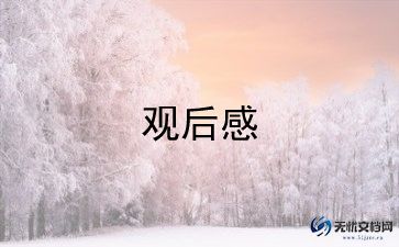 看最美孝心少年观后感300字7篇
