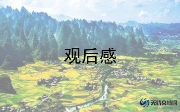 2023年今日说法观后感模板5篇