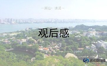 2023最美高校辅导员观后感7篇