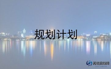 计划生育个人工作年终总结6篇
