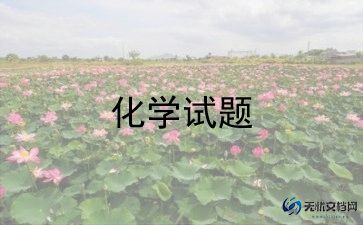 九年级化学老师期末总结6篇