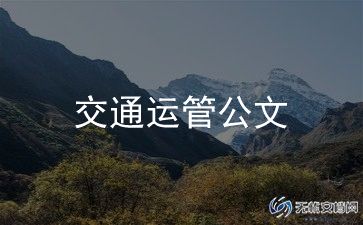 2023年上半年交通工作总结7篇