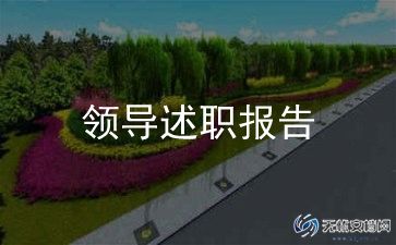 2023个人述职述廉报告通用7篇