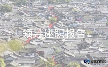 乡镇副镇长个人述职报告8篇