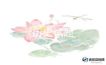 历史老师学年度工作总结7篇