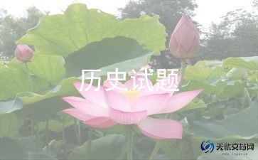 个人历史老师总结通用5篇