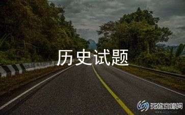 2023年历史老师工作总结7篇