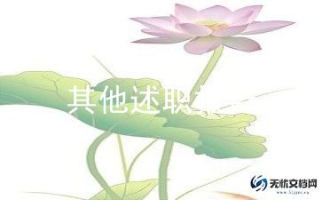 财务人员的个人述职报告7篇