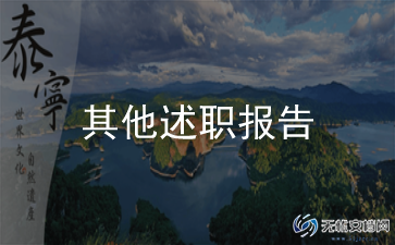 2024年项目述职报告模板7篇