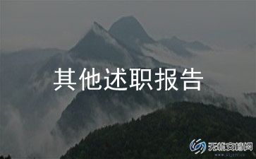 述职报告财务人员述职报告模板5篇