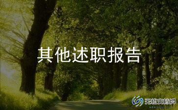 总监年度述职报告7篇
