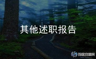 2024年项目述职报告5篇