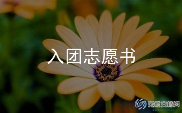 优秀的人入团申请书范文参考7篇