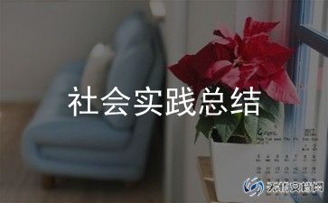 暑假个人实践总结6篇