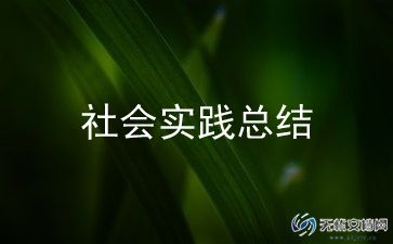 心得体会社会实践范文最新8篇