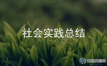 大学暑假社会实践总结优质6篇