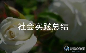 暑期社会实践报告模板7篇