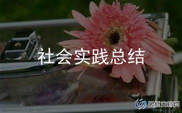 大学生社会实践报告总结2000字5篇