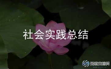 大学生社区社会实践报告1000字5篇