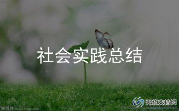 暑假实践总结800字7篇