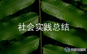 大学生社区社会实践报告内容3篇