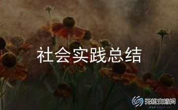 暑假社会实践报告实践总结参考7篇