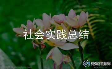 暑假社会实践团个人总结6篇
