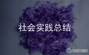 大学寒假社会实践总结模板8篇