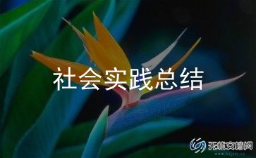防诈骗志愿者活动总结报告6篇