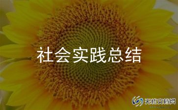 社会实践总结500字高中生10篇