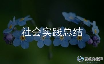 高中综合实践总结6篇