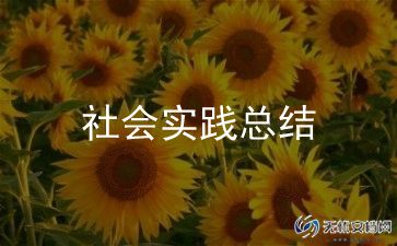 社会实践报告1200字6篇