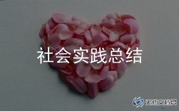 小学教师年度个人总结范文8篇