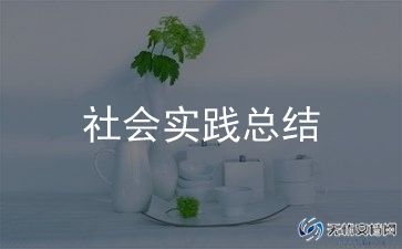 志愿服务队活动总结报告范文7篇