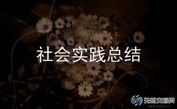 社会实践活动总结怎么写模板11篇
