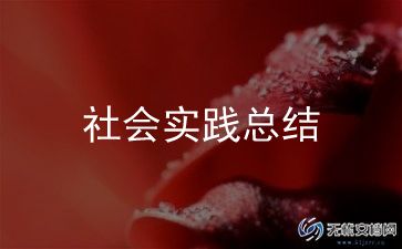 大学生社区社会实践报告3000字范文11篇