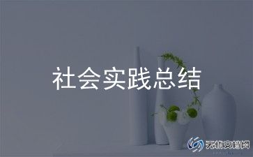暑假个人实践总结优质7篇