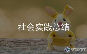 2023社会实践个人总结7篇