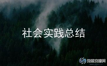 实践社会个人总结报告通用6篇